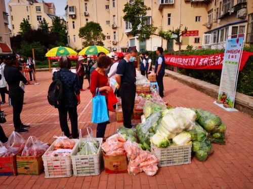 青島市南湛山社區 半小時售罄3000斤！新鮮蔬果進社區，助農惠企利民見實效